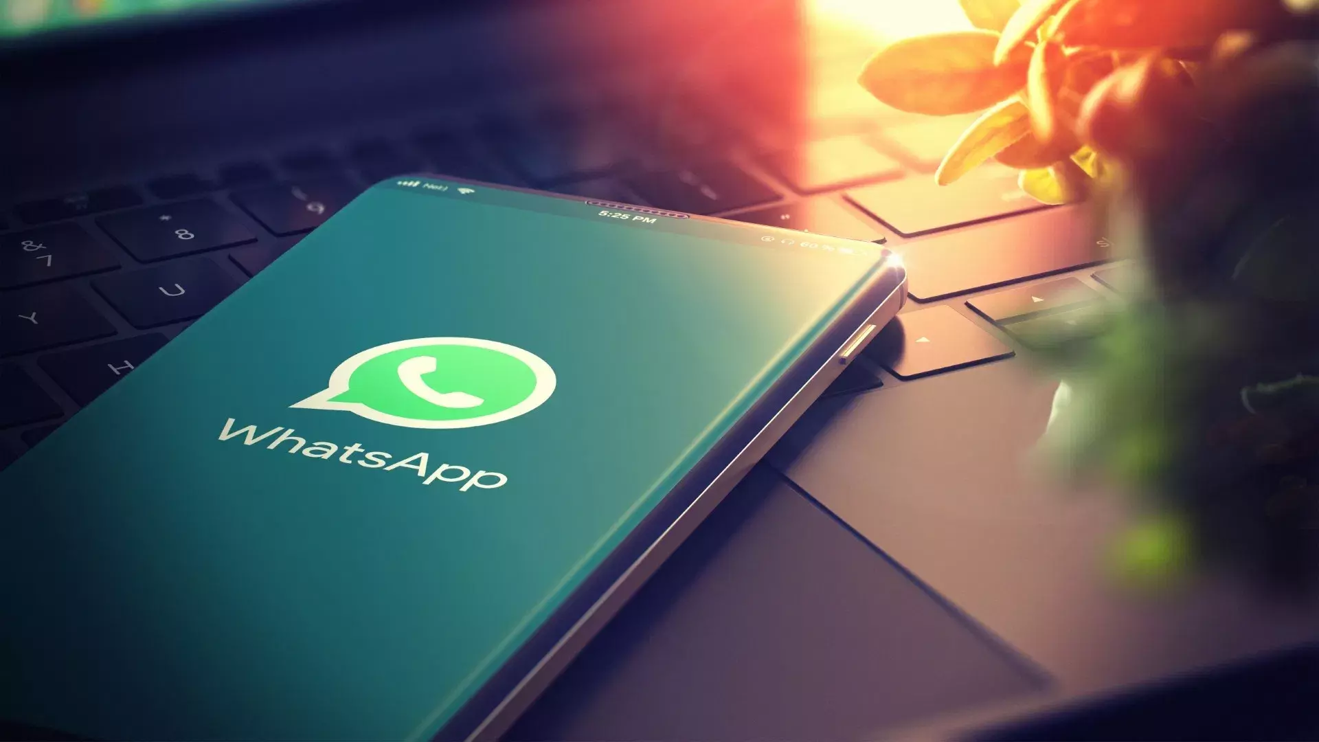 WhatsApp का सबसे धांसू अपडेट! बर्थडे विश के लिए नहीं पड़ेगा रातभर जागना WhatsApp का सबसे धांसू अपडेट! बर्थडे विश के लिए नहीं पड़ेगा रातभर जागना