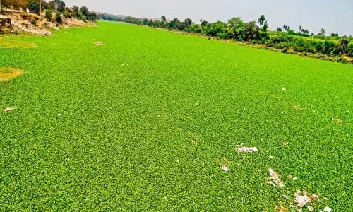 PMRDA की सीमा के अंदर की नदियाँ जलभराव से भर रही PMRDA की सीमा के अंदर की नदियाँ जलभराव से भर रही