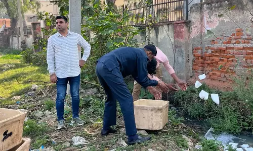 Rajasthan: खैरथल-तिजारा में सिंथेटिक पनीर पर प्रशासन की छापेमारी Rajasthan: खैरथल-तिजारा में सिंथेटिक पनीर पर प्रशासन की छापेमारी