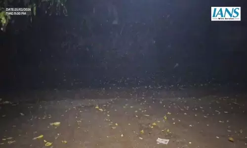 एक घंटे से भारी बारिश और तेज़ हवाओं के साथ दिंदिगुल और पर्यटन स्थलों में हालात बिगड़े एक घंटे से भारी बारिश और तेज़ हवाओं के साथ दिंदिगुल और पर्यटन स्थलों में हालात बिगड़े
