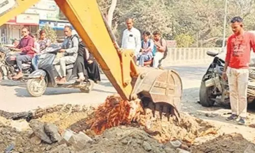 Bareilly: सड़क किनारे ‘मौत के पेड़’ कटवाए गए