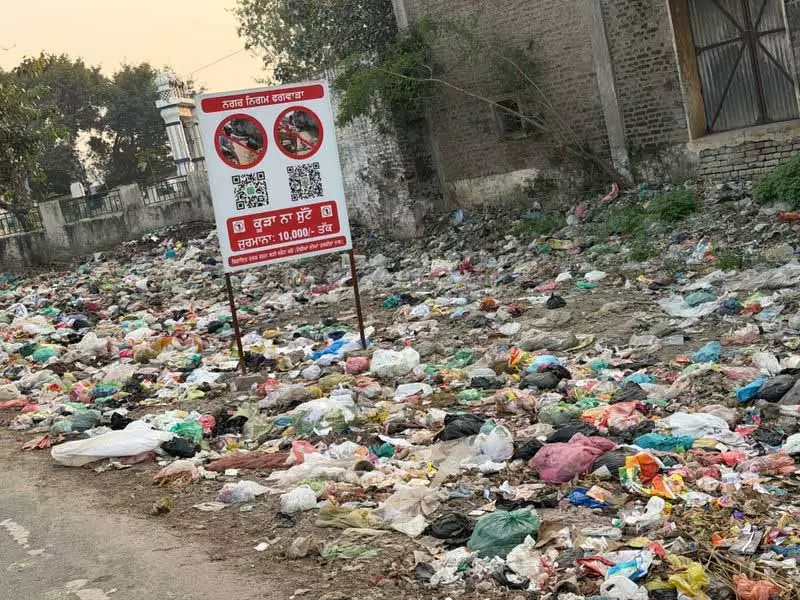 शिकायत बोर्ड के आसपास कचरा फेंकने को लेकर Phagwara MC आलोचनाओं के घेरे में शिकायत बोर्ड के आसपास कचरा फेंकने को लेकर Phagwara MC आलोचनाओं के घेरे में