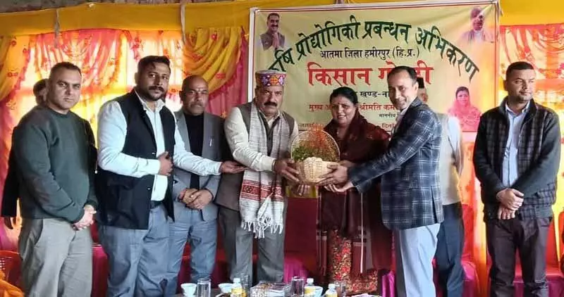 हिमाचल के मुख्यमंत्री किसानों की आय बढ़ाने के लिए प्राकृतिक खेती को बढ़ावा दे रहे: Dehra MLA हिमाचल के मुख्यमंत्री किसानों की आय बढ़ाने के लिए प्राकृतिक खेती को बढ़ावा दे रहे: Dehra MLA