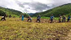 Nagaland के किसानों ने फसलों पर जलवायु परिवर्तन के असर की जानकारी दी Nagaland के किसानों ने फसलों पर जलवायु परिवर्तन के असर की जानकारी दी