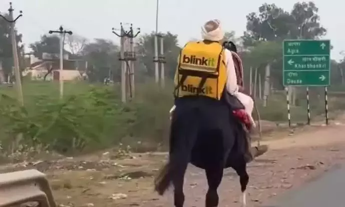 Jaipur: घोड़े पर सवार डिलीवरी का अनोखा अंदाज Jaipur: घोड़े पर सवार डिलीवरी का अनोखा अंदाज