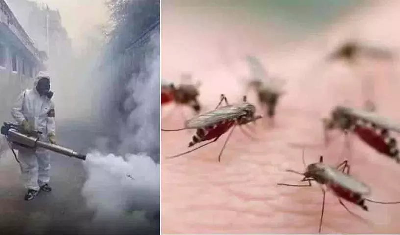 हैदराबाद GHMC मच्छर फॉगिंग में बड़ा घोटाला सामने आया हैदराबाद GHMC मच्छर फॉगिंग में बड़ा घोटाला सामने आया