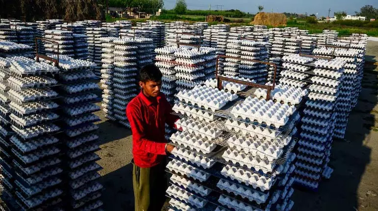 Saudi Arabia ने भारत और 39 दूसरे देशों से पोल्ट्री और अंडे के इम्पोर्ट पर बैन क्यों लगाया है? Saudi Arabia ने भारत और 39 दूसरे देशों से पोल्ट्री और अंडे के इम्पोर्ट पर बैन क्यों लगाया है?