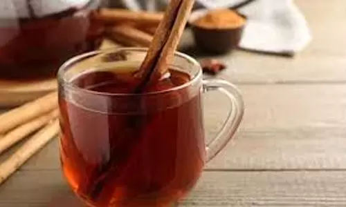 Dalchini Water For Weight Loss: सुबह खाली पेट पी लें इस लकड़ी का पानी,  कम होगा वजन