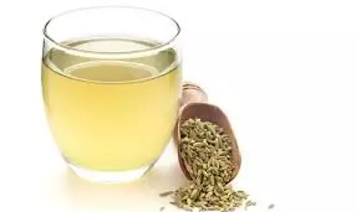 Fennel Seeds For Weight Loss: गर्मी में वजन घटाने के लिए रोज सुबह पी लें ये पानी, दिनभर पेट भी रहेगा ठंडा