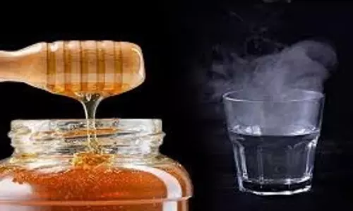 Honey Water Benefits: सुबह सबसे पहले गर्म पानी में शहद मिलाकर पीने से मिलेंगे ये फायदे