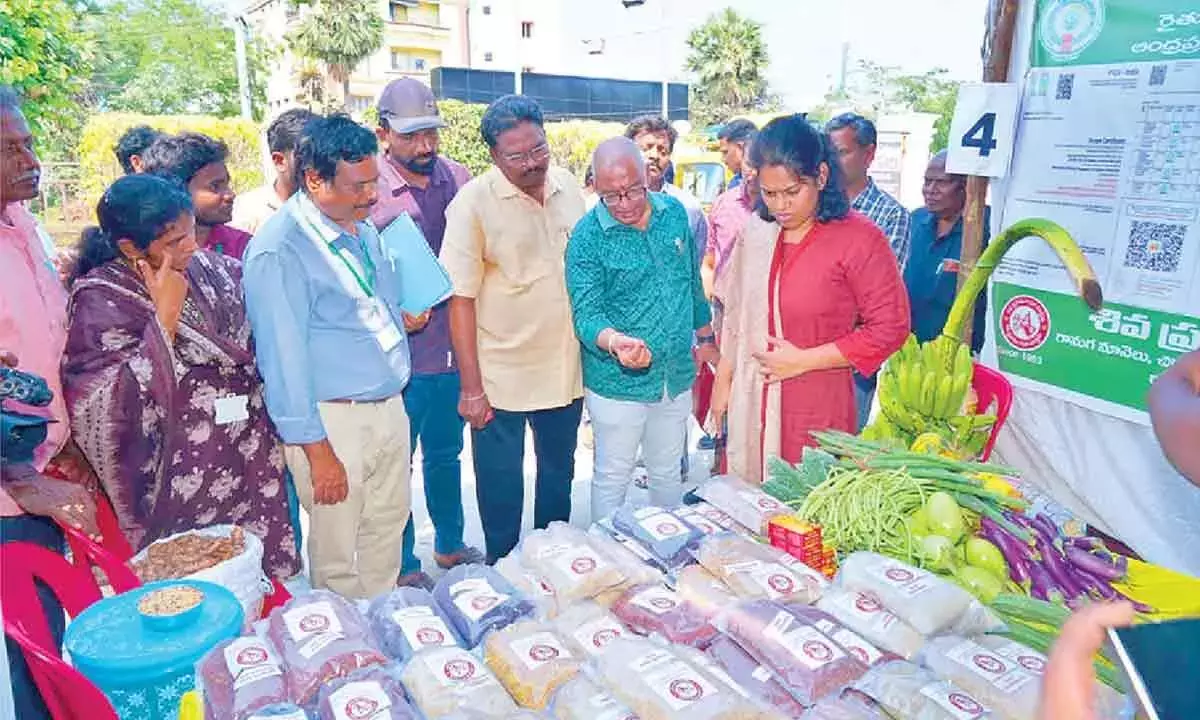 Andhra: नेचुरल फार्मिंग पर बायर्स-सेलर्स मीटिंग हुई Andhra: नेचुरल फार्मिंग पर बायर्स-सेलर्स मीटिंग हुई