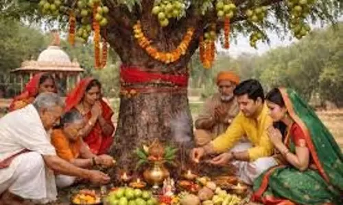 Amalaki Ekadashi 2026: आमलकी एकादशी पर क्यों की जाती है आंवले के पेड़ की पूजा Amalaki Ekadashi 2026: आमलकी एकादशी पर क्यों की जाती है आंवले के पेड़ की पूजा
