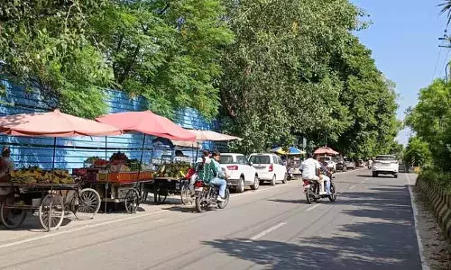 Punjab सरकार ने स्ट्रीट वेंडिंग फीस पर 20% तक की छूट दी Punjab सरकार ने स्ट्रीट वेंडिंग फीस पर 20% तक की छूट दी