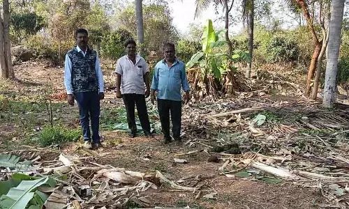 Ramanagara : जंगली हाथियों ने नारियल और केले नष्ट कर दिए Ramanagara : जंगली हाथियों ने नारियल और केले नष्ट कर दिए