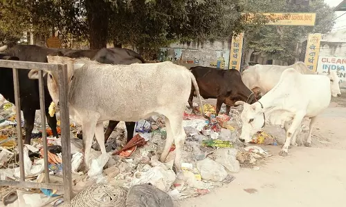 Haryana के गुरुग्राम और फरीदाबाद ने सैनिटेशन सर्वे में खराब प्रदर्शन क्यों किया