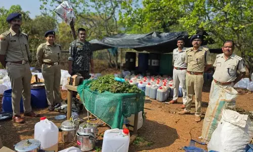 Koraput में बड़ी ड्रग बरामदगी: पुलिस ने 1800 लीटर से ज़्यादा कैनाबिस ऑयल ज़ब्त किया Koraput में बड़ी ड्रग बरामदगी: पुलिस ने 1800 लीटर से ज़्यादा कैनाबिस ऑयल ज़ब्त किया