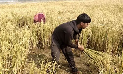 Rohtak में प्रोग्रेसिव किसानों को ब्रांड एंबेसडर बनाया जाएगा Rohtak में प्रोग्रेसिव किसानों को ब्रांड एंबेसडर बनाया जाएगा
