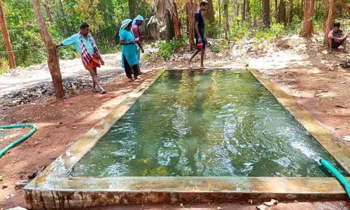 Kerala: वन संरक्षण कार्यकर्ता जंगल और जानवरों की रक्षा करते हैं