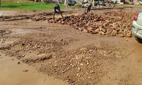 Farrukhabad: कस्बा अमृतपुर मार्ग की मरम्मत का रास्ता साफ, स्थानीय प्रयास लाए रंग Farrukhabad: कस्बा अमृतपुर मार्ग की मरम्मत का रास्ता साफ, स्थानीय प्रयास लाए रंग