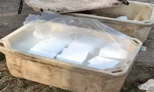 Rewari: फूड सेफ्टी टीम की कार्रवाई, 180 किलो सिंथेटिक पनीर खत्म