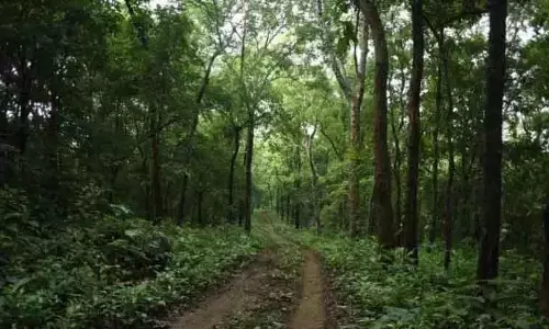 Bengaluru में रेशम भवन निर्माण पर ग्रीन एक्टिविस्ट्स ने उठाए सवाल