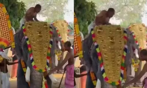 मंदिर में हाथी का उत्पात: फेंके जाने से एक व्यक्ति गंभीर रूप से घायल मंदिर में हाथी का उत्पात: फेंके जाने से एक व्यक्ति गंभीर रूप से घायल
