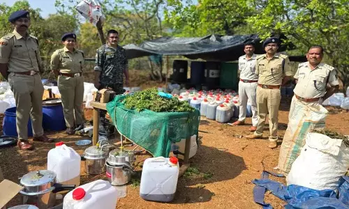 Odisha पुलिस ने ऑपरेशन ग्रीन क्लीन में 225 करोड़ रुपये का हशीश और गांजा जब्त किया