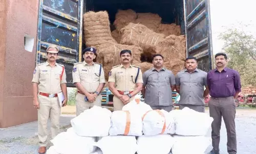 Bhadradri Kothagudem में भारी मात्रा में गांजा जब्त Bhadradri Kothagudem में भारी मात्रा में गांजा जब्त