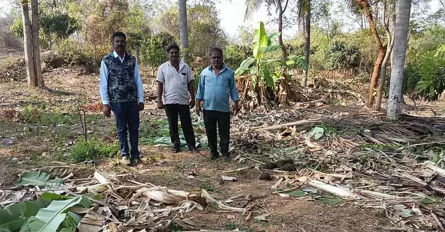 Ramanagara : जंगली हाथियों ने नारियल और केले नष्ट कर दिए Ramanagara : जंगली हाथियों ने नारियल और केले नष्ट कर दिए