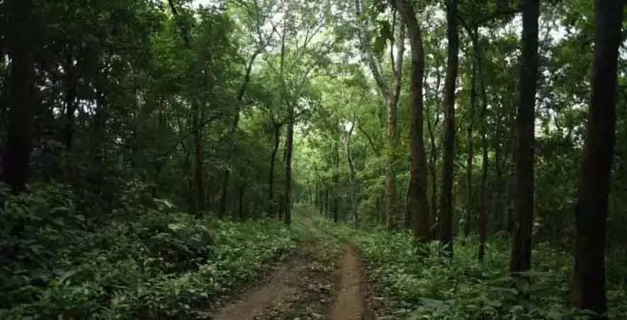 Bengaluru में रेशम भवन निर्माण पर ग्रीन एक्टिविस्ट्स ने उठाए सवाल Bengaluru में रेशम भवन निर्माण पर ग्रीन एक्टिविस्ट्स ने उठाए सवाल