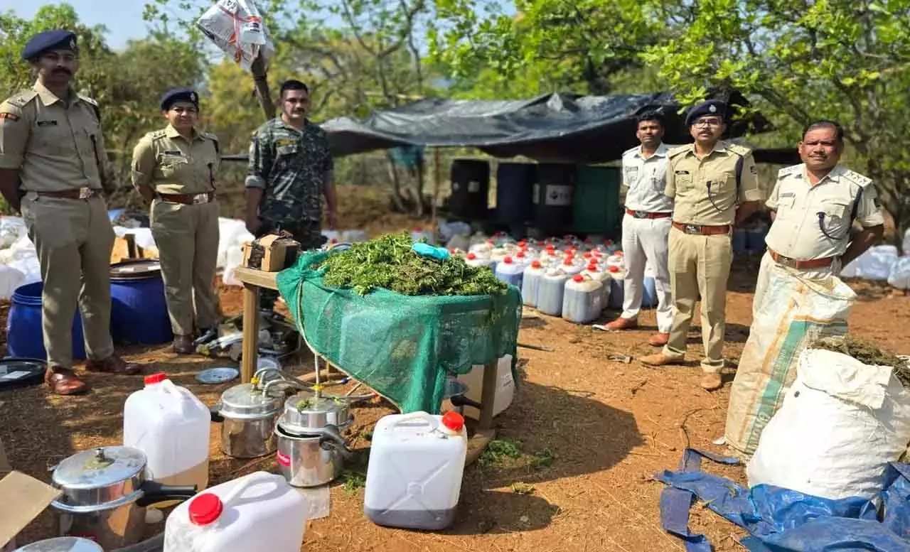 Odisha पुलिस ने ऑपरेशन ग्रीन क्लीन में 225 करोड़ रुपये का हशीश और गांजा जब्त किया Odisha पुलिस ने ऑपरेशन ग्रीन क्लीन में 225 करोड़ रुपये का हशीश और गांजा जब्त किया
