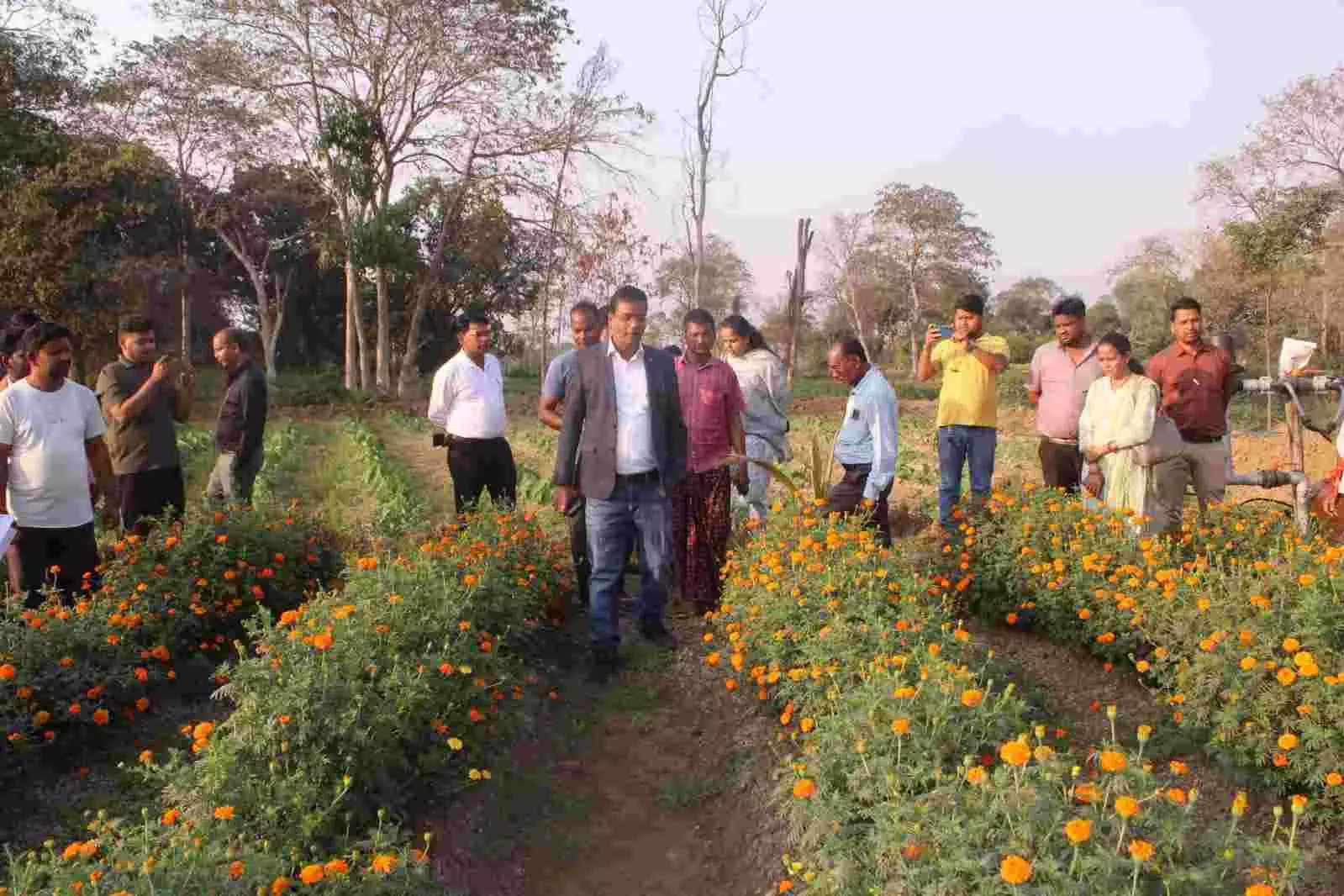 कलेक्टर कन्नौजे ने छोटे नावापारा में गेंदा फूल की खेती का किया निरीक्षण कलेक्टर कन्नौजे ने छोटे नावापारा में गेंदा फूल की खेती का किया निरीक्षण