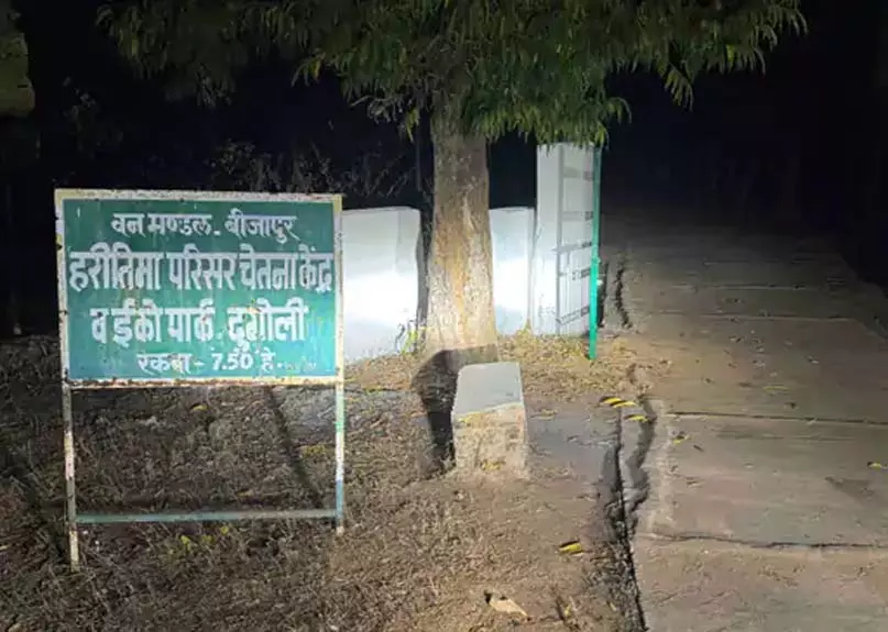 दुगोली इकोपार्क में रात के अंधेरे में गिराए जा रहे सागौन के पेड़ दुगोली इकोपार्क में रात के अंधेरे में गिराए जा रहे सागौन के पेड़