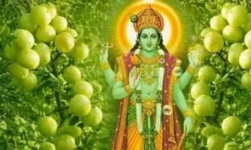 Amalaki Ekadashi 2026: आमलकी एकादशी पर पढ़ें आंवले के पेड़ से जुड़ी कहानी Amalaki Ekadashi 2026: आमलकी एकादशी पर पढ़ें आंवले के पेड़ से जुड़ी कहानी