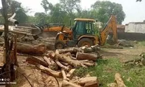 Jharkhand: अवैध आरा मिल में वन विभाग की छापेमारी, भारी मात्रा में लकड़ी बरामद Jharkhand: अवैध आरा मिल में वन विभाग की छापेमारी, भारी मात्रा में लकड़ी बरामद