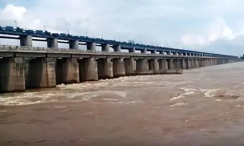 Mahanadi ट्रिब्यूनल की टीम फील्ड इंस्पेक्शन के लिए ओडिशा पहुंची