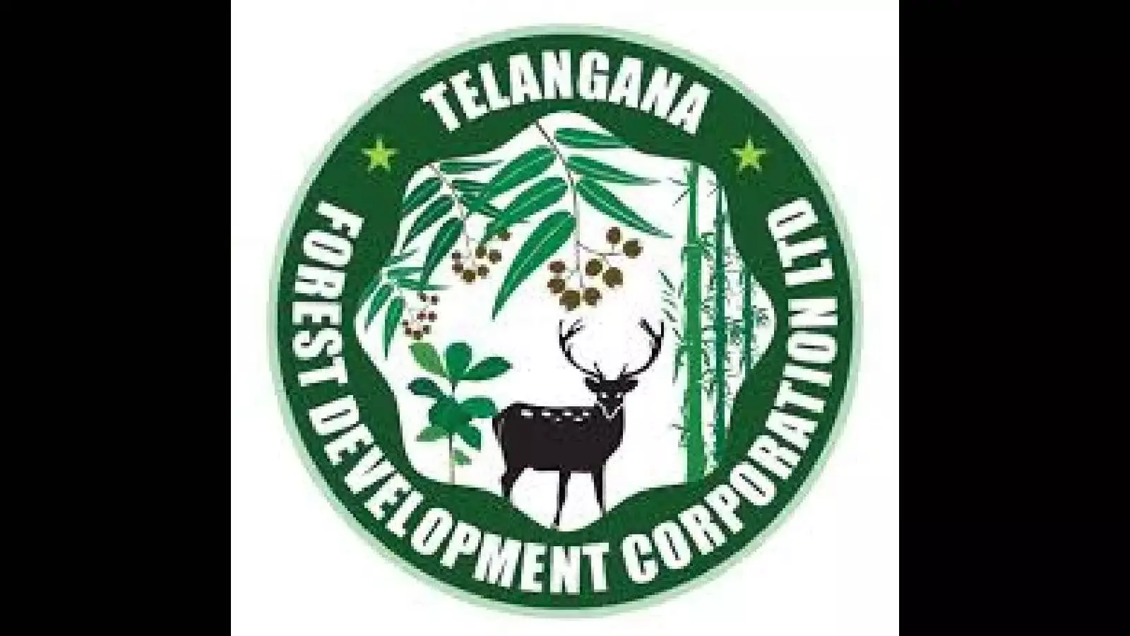 TFDC Telanganaके मंचिरेवुला में नेचर कैंप लगाएगा TFDC Telanganaके मंचिरेवुला में नेचर कैंप लगाएगा