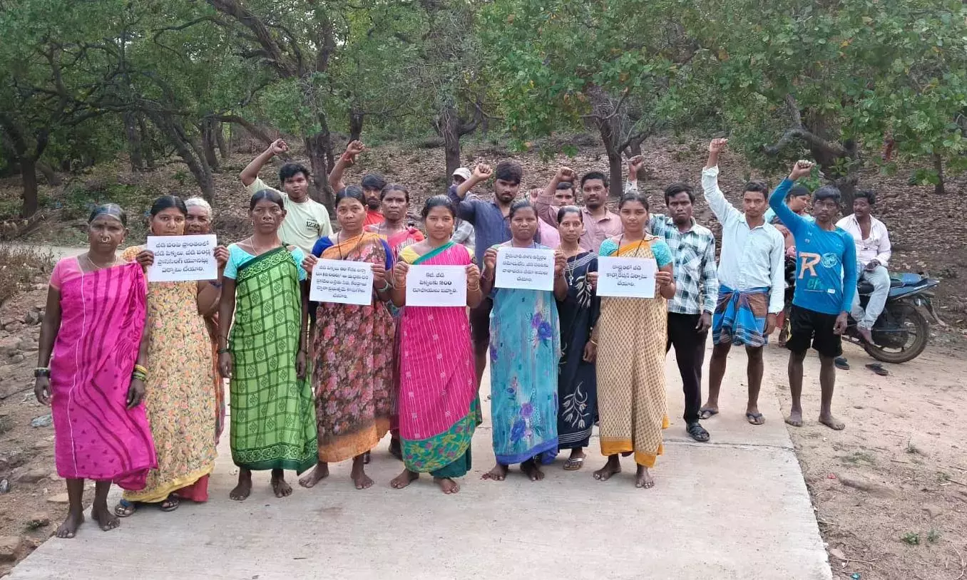 आदिवासी किसानों ने काजू की फसल के लिए MSP की मांग को लेकर आंदोलन आदिवासी किसानों ने काजू की फसल के लिए MSP की मांग को लेकर आंदोलन