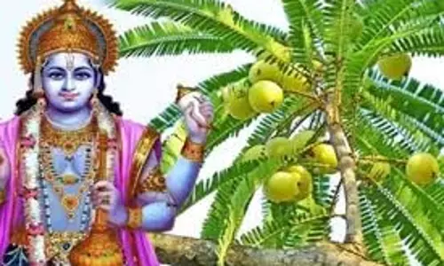 Amalaki Ekadashi 2026 Upay: आमलकी एकादशी के दिन जरूर करें आंवले के ये उपाय, दूर होगी आर्थिक तंगी