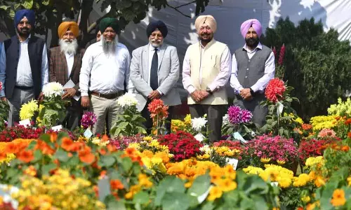 PAU में दो दिवसीय पुष्प प्रदर्शनी शुरू हुई PAU में दो दिवसीय पुष्प प्रदर्शनी शुरू हुई