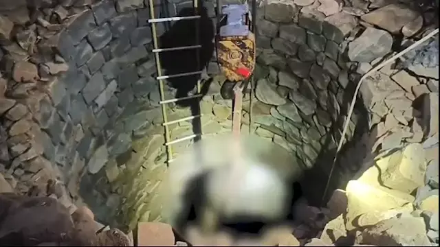 Kendujhar: कुएं में गिरने से हाथी के बच्चे की मौत