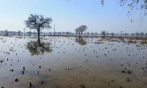 Haryana : 7 महीने बाद भी, हरियाणा के हिसार के गांवों में खेती की ज़मीन अभी भी डूबी हुई Haryana : 7 महीने बाद भी, हरियाणा के हिसार के गांवों में खेती की ज़मीन अभी भी डूबी हुई
