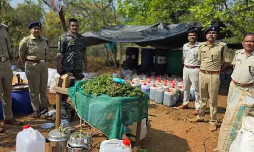 Koraput में 5 करोड़ रुपये का गांजा ज़ब्त, चार लोग गिरफ्तार