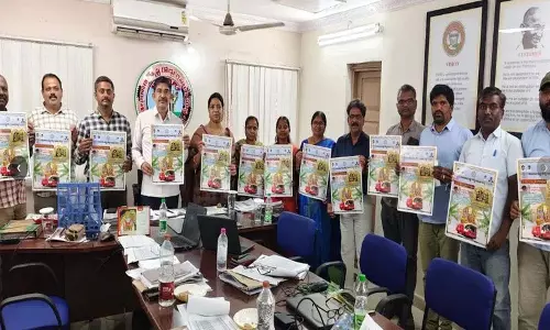 भद्राचलम सीता राम कल्याण तलम्बरालु बुकिंग RTC लॉजिस्टिक्स के ज़रिए भद्राचलम सीता राम कल्याण तलम्बरालु बुकिंग RTC लॉजिस्टिक्स के ज़रिए