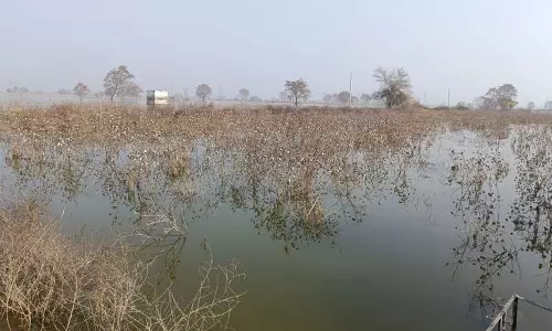 Bhiwani: सूखाग्रस्त इलाकों में बनेगा नया तालाब Bhiwani: सूखाग्रस्त इलाकों में बनेगा नया तालाब