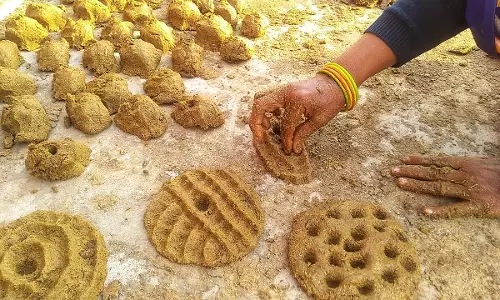Bhiwani: महिलाओं ने होली के लिए बनाए गोबर के ‘बड़कुले’ और ‘ढाल’ Bhiwani: महिलाओं ने होली के लिए बनाए गोबर के ‘बड़कुले’ और ‘ढाल’