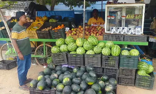 Karnataka : तरबूज, नारियल पानी की मांग Karnataka : तरबूज, नारियल पानी की मांग