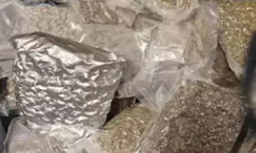 Gundlupet : बस से 12.6 kg गांजा ज़ब्त किया गया Gundlupet : बस से 12.6 kg गांजा ज़ब्त किया गया