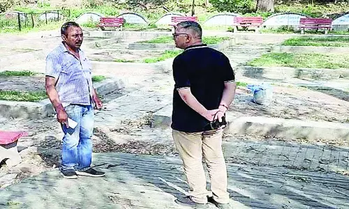 देवदार से हरा-भरा होगा नाहन का मोक्षधाम