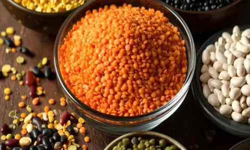दालों के स्वास्थ्य लाभ: मूंग, मसूर, उड़द, अरहर, चना, राजमा और सूखी मटर खाने के फायदे और परहेज दालों के स्वास्थ्य लाभ: मूंग, मसूर, उड़द, अरहर, चना, राजमा और सूखी मटर खाने के फायदे और परहेज